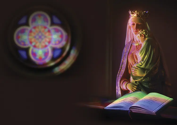 Our Lady Seat of Wisdom Private collection