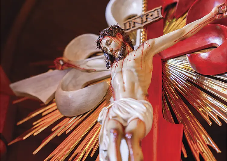 Sabiduria de la cruz remedio para la locura del pecado
