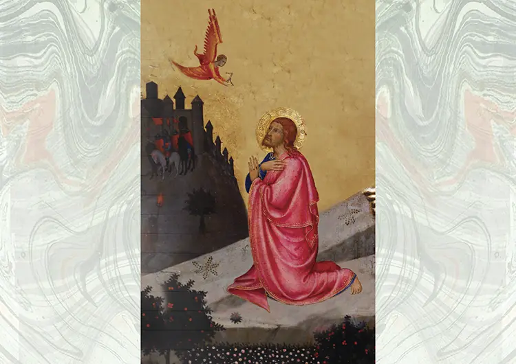 R284 1 D AQU A agonia no Horto