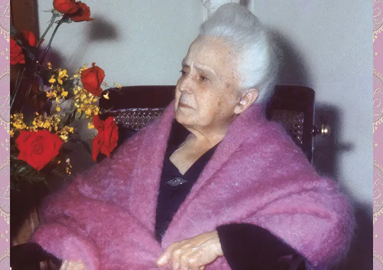 Dona Lucilia appears to have lost some coins – not those stamped with the face of Caesar but of each child entrusted to her by Mary Most Holy Dona Lucilia in﻿