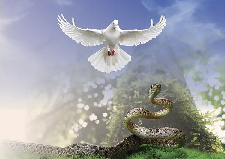 Dove and Serpent
