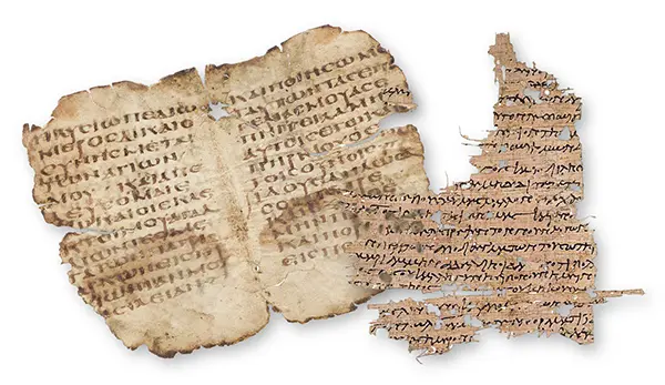Manuscripts of the apocryphal writings.